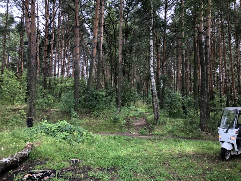 Экотропа на берегу водохранилища - Мини ферма Страус